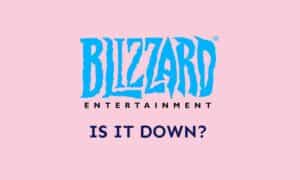 What happens to Blizzard Battle.net? Is it Down?