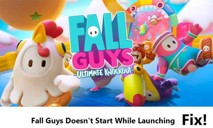 Fall Guys Doesn't Start While Launching Fix