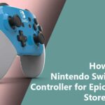 How to use Nintendo Switch Pro Controller for Epic Games Store Games