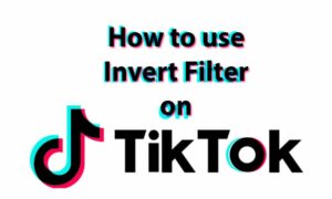 How to use inverted filter on TikTok